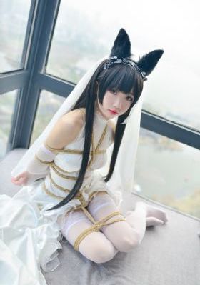 成人色电影_4KHD在线观看
